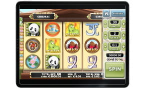 Benny the Panda online Spielautomat in der mobilen App des PlayFrank Casinos