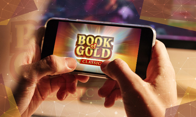 Der Book of Gold Slot im Überblick
