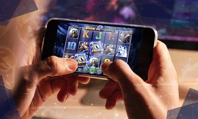 Der Book of Wolves Slot im Überblick