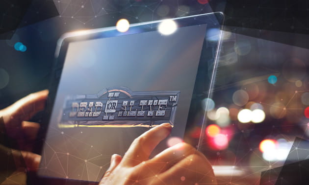 Der Dead or Alive 2 Slot im Überblick