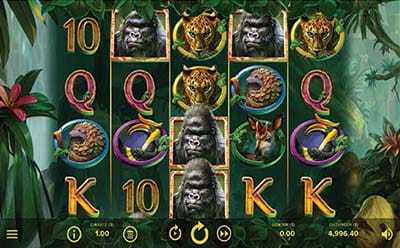 Der Gorilla Kingdom Spielautomat von NetEnt.