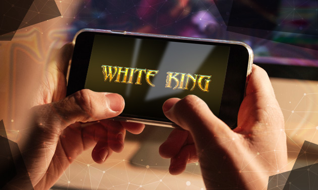 Der White King Slot im Überblick