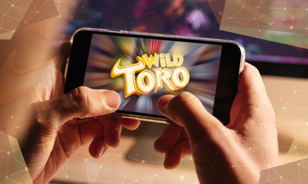 Der Wild Toro Slot im Überblick