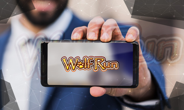 Der Wolf Run Slot im Überblick