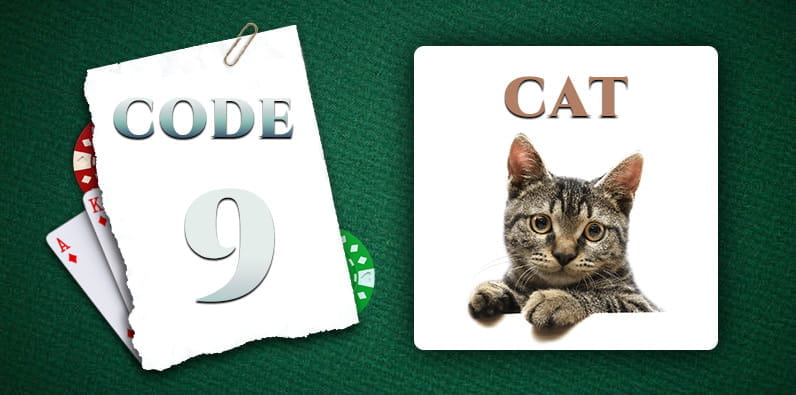 Codewort für 9 Ist Katze