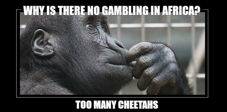 Warum es kein Glücksspiel in Afrika gibt Meme