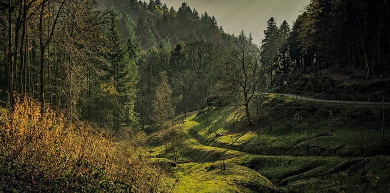 Der Schwarzwald bei Baden Baden Deutschland