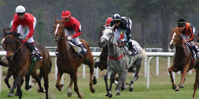 Jockeys liefern sich ein Rennen auf den Pferden